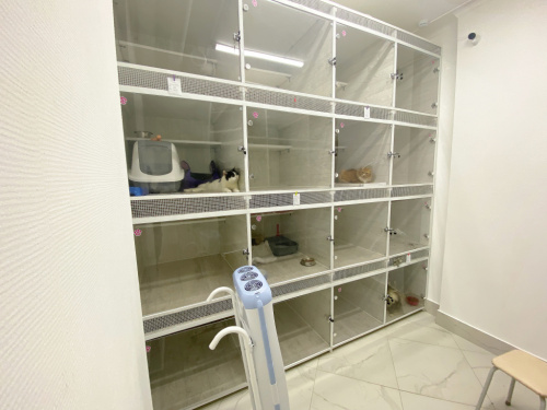 Номер Эконом